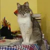 Отзыв от Ангелина Сизова